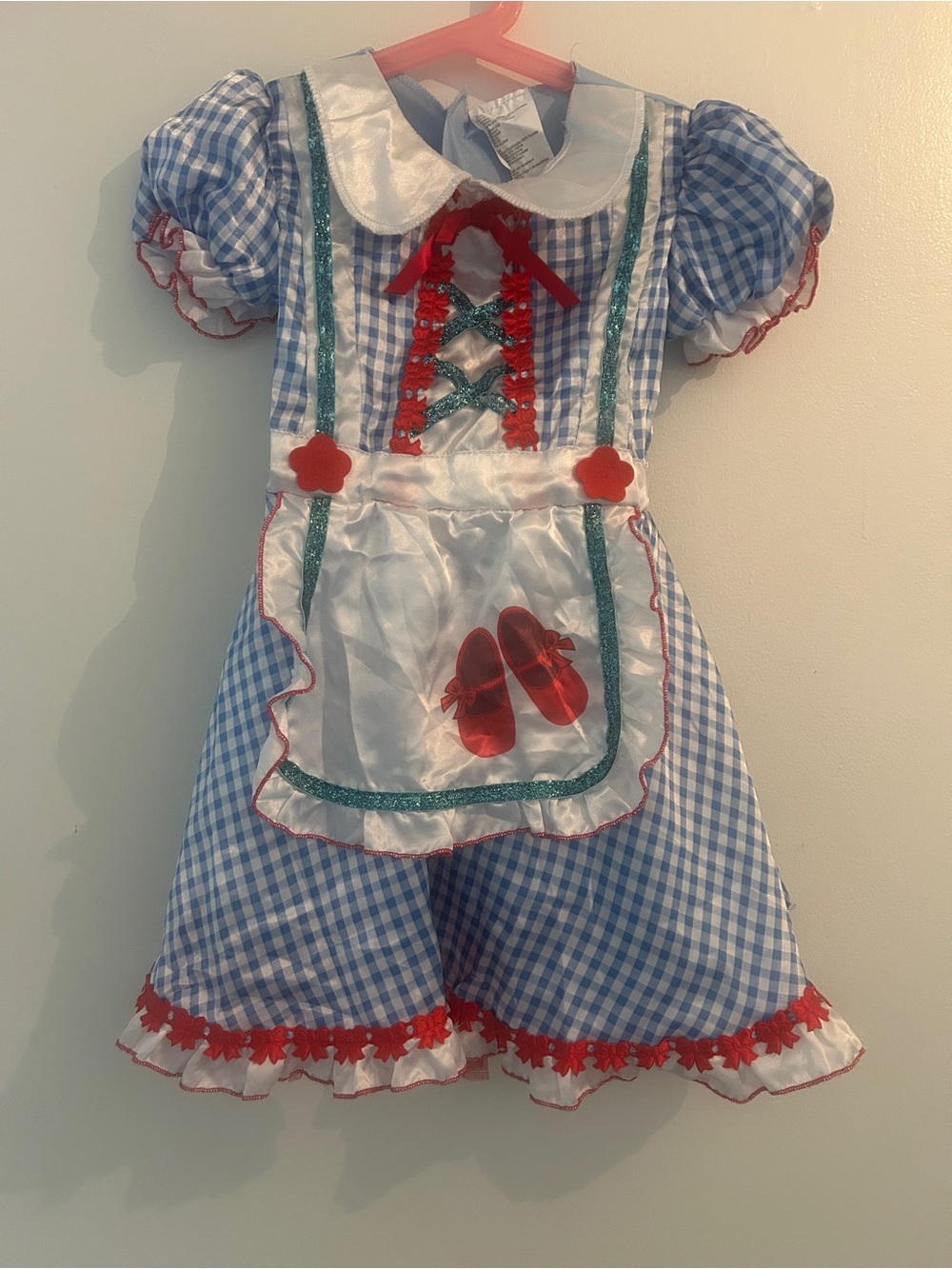 Wizard of Oz Dorothy Halloween Costume • Girls 3-4T